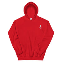 Glazed Over Embroidered Hoodie
